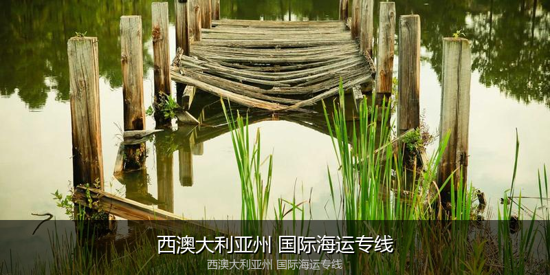 中国到澳洲海运专线服务优势与价格指南